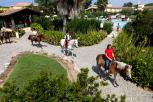 Resort-in-Sardegna-Passeggiate-a-Cavallo
